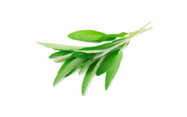 Simply Fresh Sage-LH   Box  100 grams